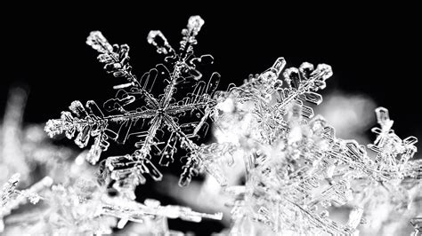 Snowflakes as Fragile Jewels: Approaching the Exquisite Complexity of Snow Crystals