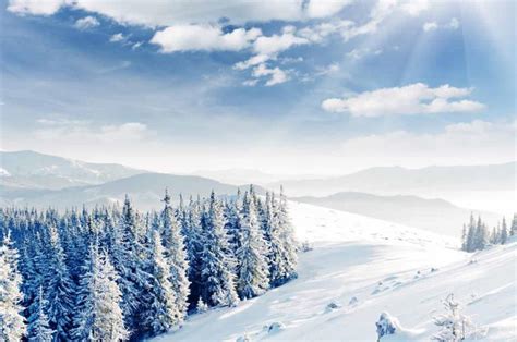 Snowy Landscapes Across the Globe: Exploring Different Winter Paradises