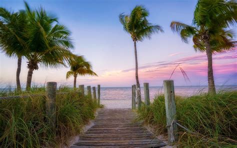 Soak Up the Sun and Unwind on Florida's Exquisite Coastlines