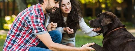 Socializing Your Canine Companion with Other Animals and People