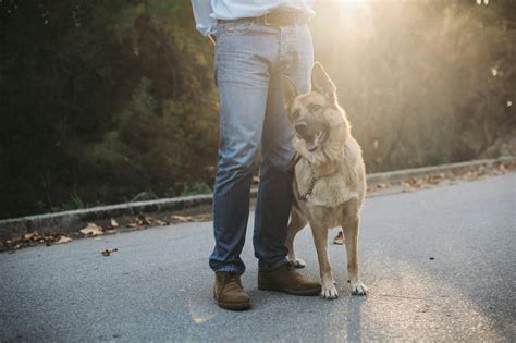 Socializing and Training Your Rodent Companion: Developing a Strong Bond