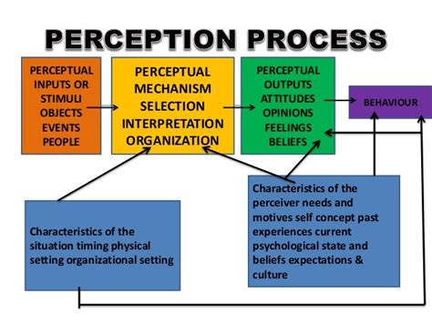 Societal Perceptions of Bathroom Functions in Dreams