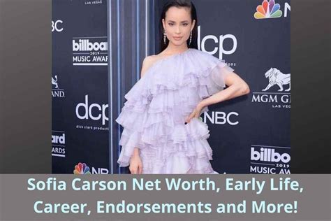 Sofia Carson: A Rising Star in Hollywood