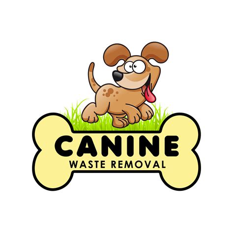 Solutions for Managing and Reducing Canine Waste in Public Areas