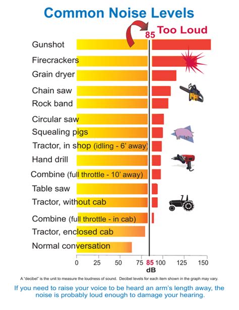 Sound the Alarm: Understanding Noise Levels and Selecting a Quiet Power Drill