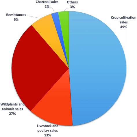 Sources of Income and Noteworthy Achievements