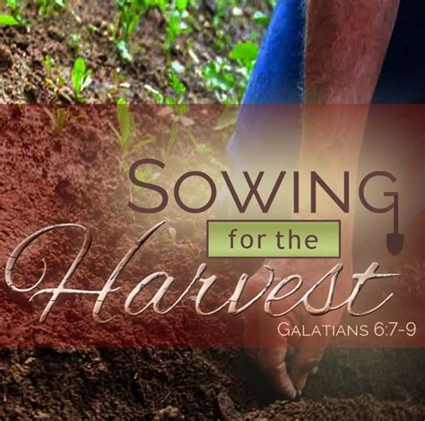 Sowing and Harvesting: Timing is Everything