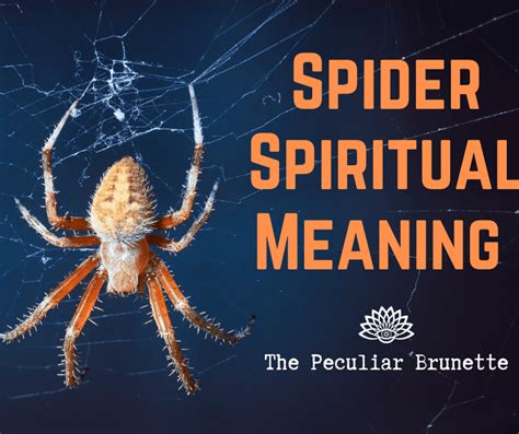 Spider Dreams: Unveiling the Significance of Personal Growth and Transformation