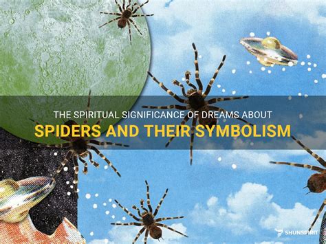 Spider Dreams and Their Significance in Various Cultures