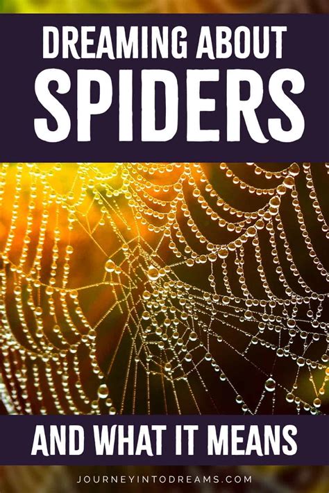 Spider Dreams and Transformation: Understanding the Role of Change in Your Life