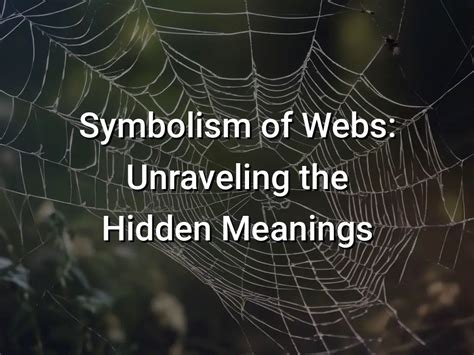 Spider Symbolism: Unraveling the Hidden Meanings