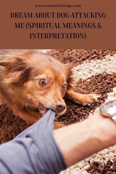 Spiritual Connections: Canine Creatures in Dream Interpretation