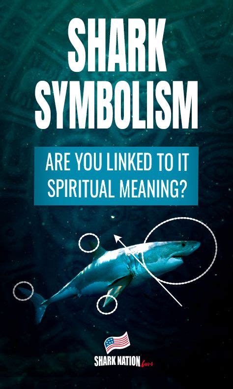 Spiritual Connections: The Shark as a Symbol of Transformation and Change