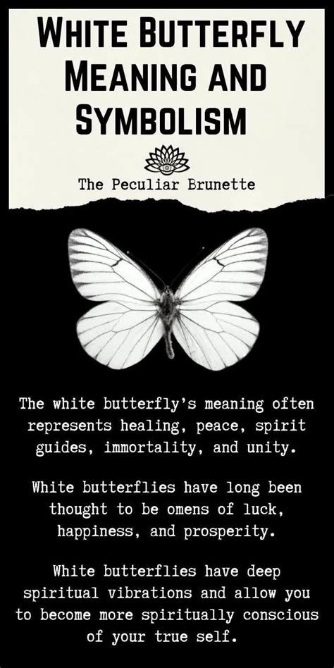 Spiritual Connotations: The White Butterfly's Significance in Matters of the Soul and Enlightenment