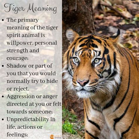 Spiritual Significance: Exploring the Symbolism and Meaning Behind the Majestic Tiger Bear