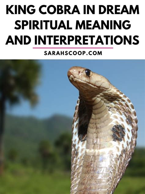 Spiritual and mystical interpretations of cobra dreams