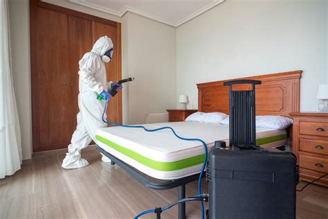 Steam Cleaning: Harnessing the Power to Combat Bed Bug Infestations