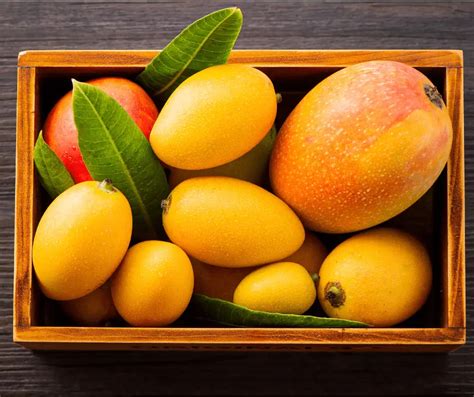 Storing and Preserving Mangoes to savor their Delectable Flavor Throughout the Year