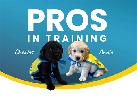 Strategies for Marketing and Sales: Effectively Promoting and Selling Your Canine Companions