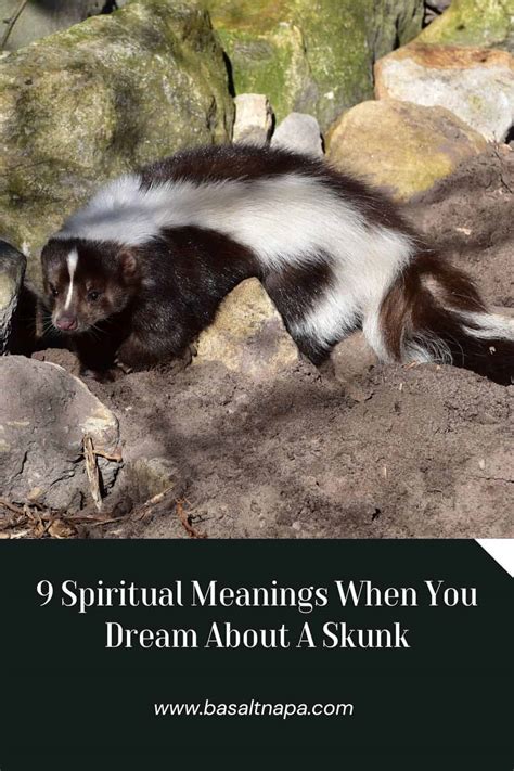 Strategies for Overcoming Negative Dream Experiences Involving Skunks