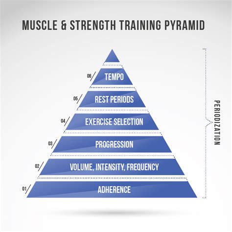 Strength Training: Establishing the Bedrock for Muscular Development