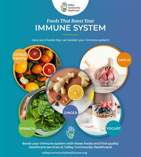 Strengthen Your Immune System