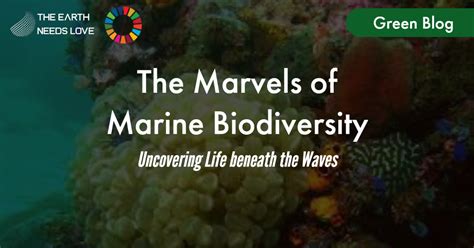 Striking Biodiversity: Marvels of Marine Life in the Vast Depths