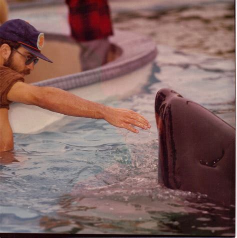 Success Stories: Inspiring Rescues that Demonstrated the Power of Human-Cetacean Collaboration