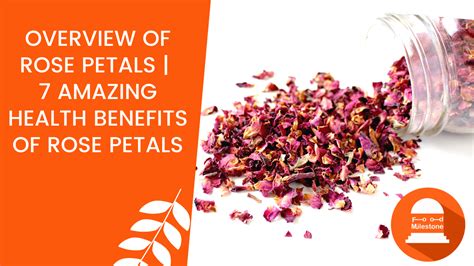 Surprising Health Benefits of Delicate Rose Petals