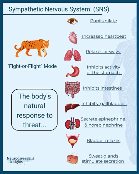 Survival Instincts: Do Dreams Reflect Our Innate Fight or Flight Response?