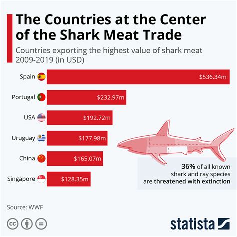 Sustainable Fishing: The Debate Surrounding Consumption of Fresh Shark Meat