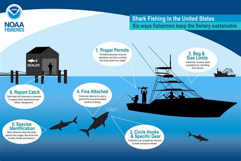 Sustainable Fishing Practices: Ensuring the Future of Shark Meat