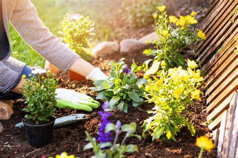 Sustainable Gardening: Tips for Environmentally-Friendly Plant Shopping