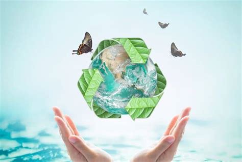 Sustainable Living: Making a Positive Impact on our Planet