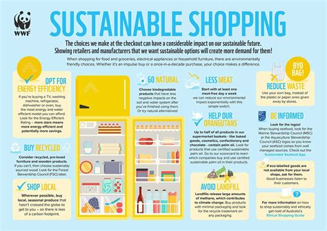 Sustainable Shopping: Making Ethical Choices in a Consumer-driven World