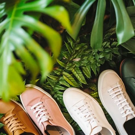 Sustainable Steps: Exploring Eco-Friendly Shoe Options