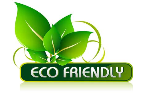 Sustainable and Eco-Friendly Options