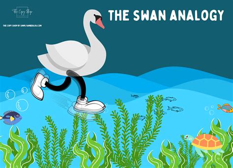 Swans: Encountering the Majestic Metaphor of Personal Evolution