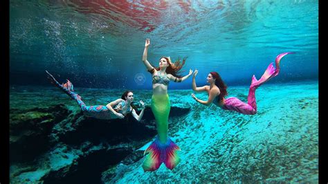 Swimming with Mermaids: Fulfilling a Longed-for Fantasy