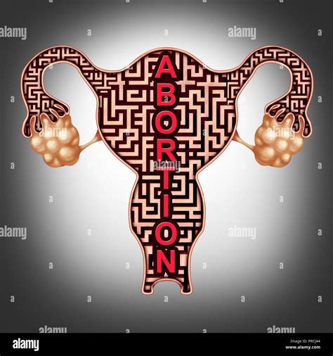 Symbolic Interpretations: The Uterus as a Metaphor