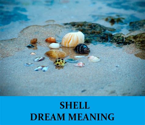 Symbolic Meanings and Interpretations of Shells in Dream