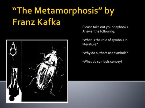 Symbolic Transformation: The Significance of Playing Dead as an Indicator of Metamorphosis