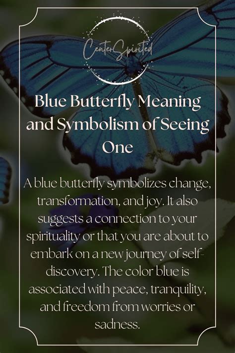 Symbolism Beyond Butterflies: Exploring Related Symbolic Meanings in Nature