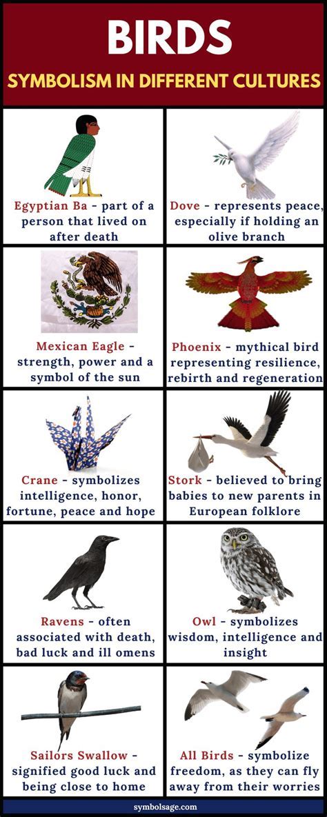 Symbolism of Avians in Dreams