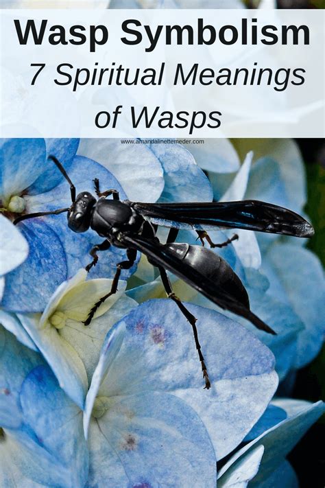 Symbolism of Wasp Landing on Me