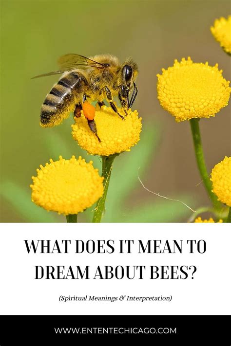 Symbolism of bees in dreams