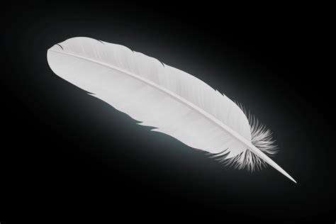 Symbolism of the Snowy White Feathers: Representations of Color