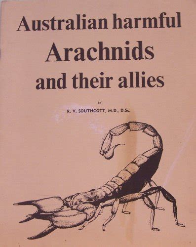 Symptoms and Treatment: Navigating the Aftermath of an Arachnid Assault