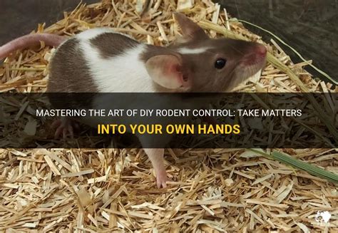 Taking Action: How Envisioning a Rodent Companion Can Ignite Personal Development