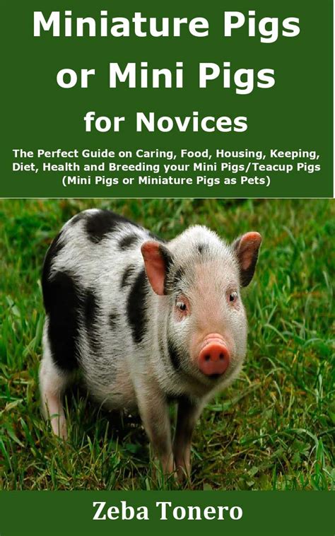 Taking Care of Miniature Pigs: A Guide to Their Health and Well-being